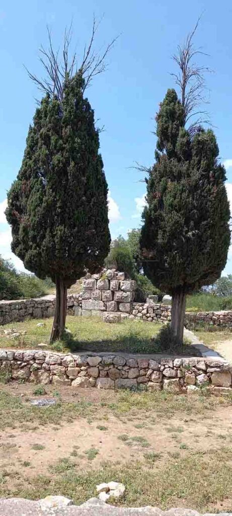 היופי שבאחדות – כשנפגשים בדרך