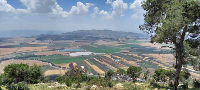 היופי שבאחדות – כשנפגשים בדרך